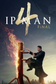 Ip Man 4: Final