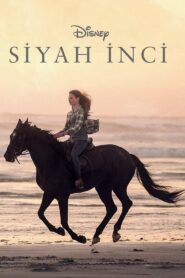 Siyah İnci